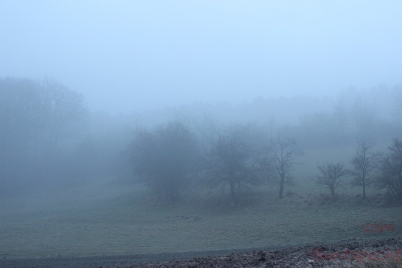 Bildla Nummära 003.jpg