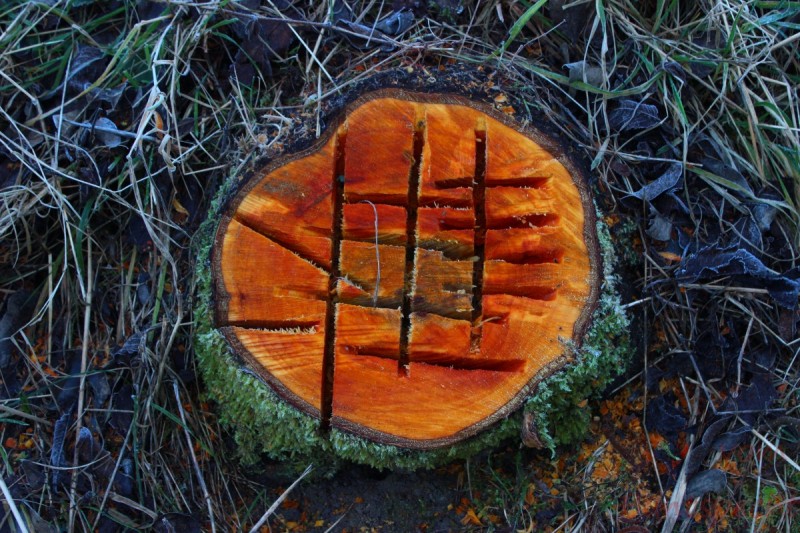 Bildla Nummära 004.jpg