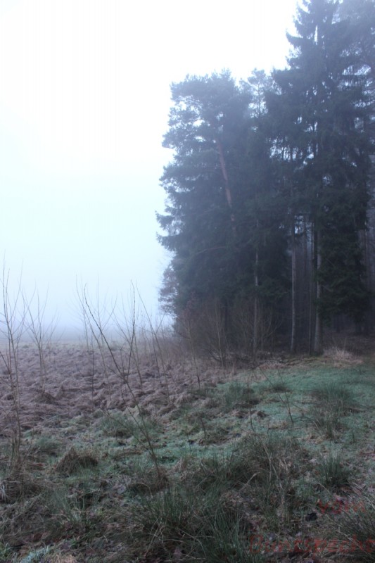 Bildla Nummära 006.jpg