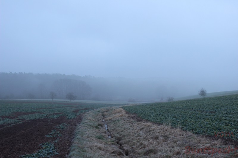 Bildla Nummära 007.jpg