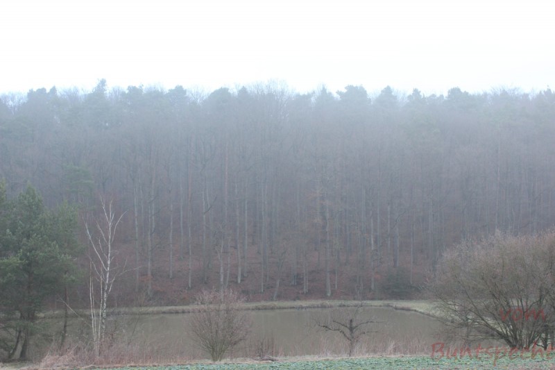 Bildla Nummära 009.jpg