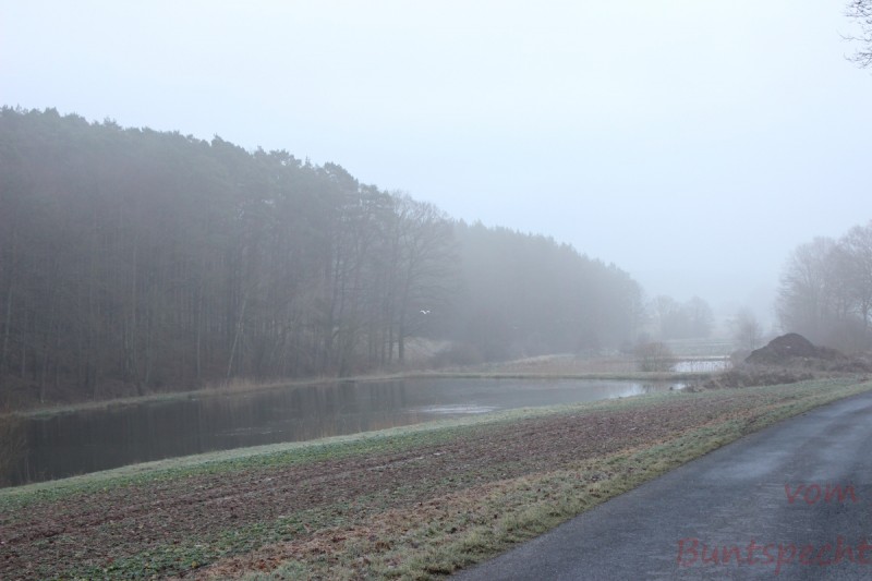 Bildla Nummära 011.jpg