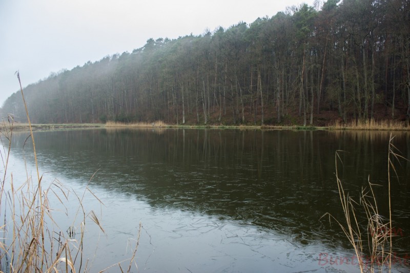 Bildla Nummära 013.jpg