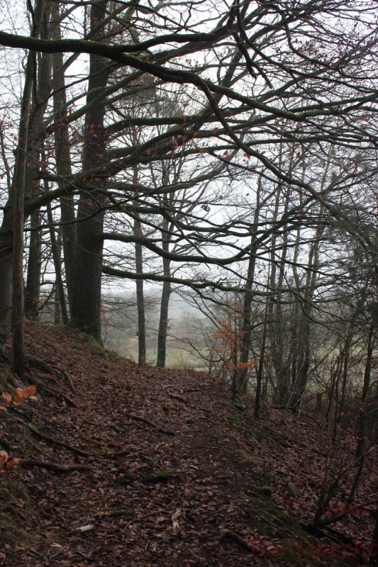 Bildla Nummära 022.jpg