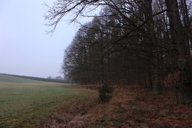 Bildla Nummära 024.jpg