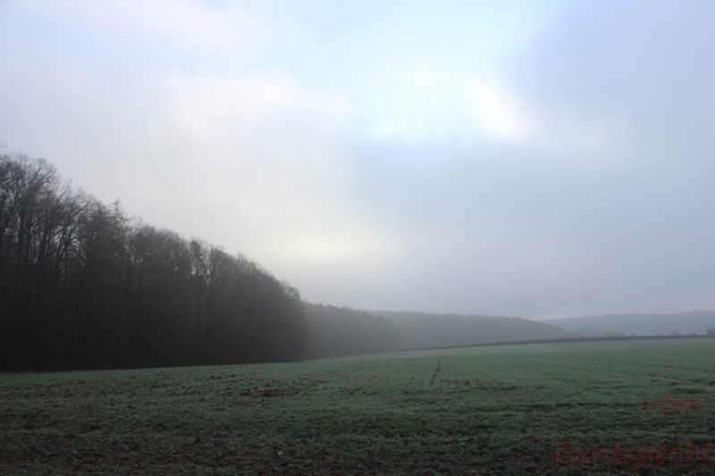 Bildla Nummära 034.jpg