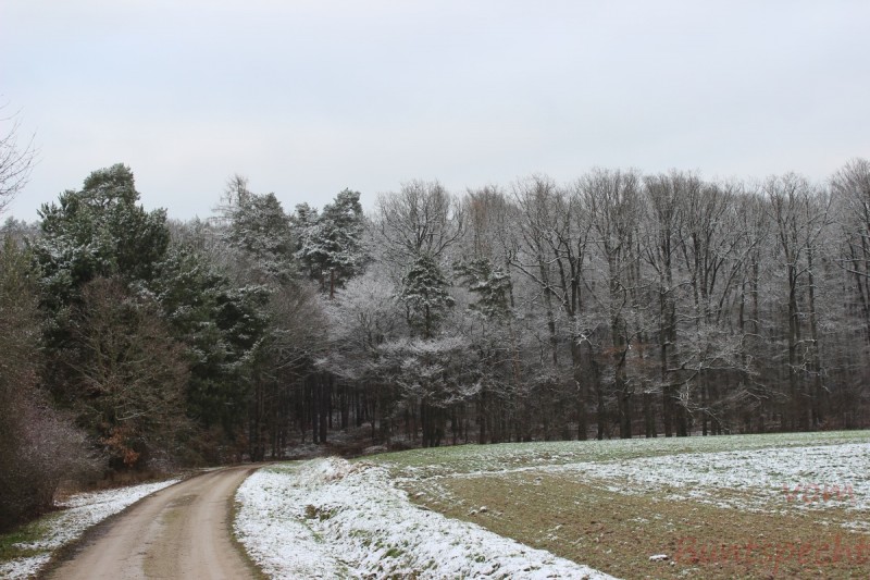 Bildla Nummära 001.jpg