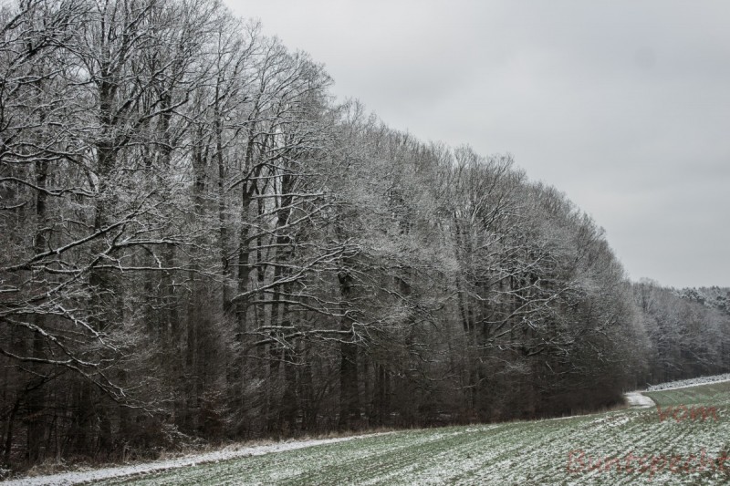 Bildla Nummära 002.jpg