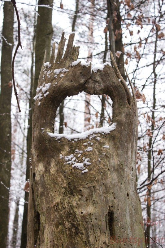 Bildla Nummära 003.jpg