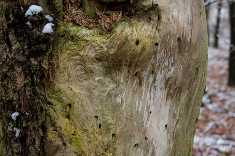 Bildla Nummära 004.jpg