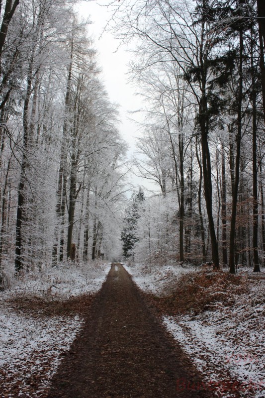 Bildla Nummära 006.jpg