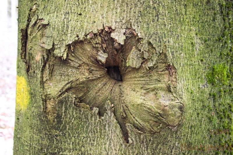 Bildla Nummära 007.jpg