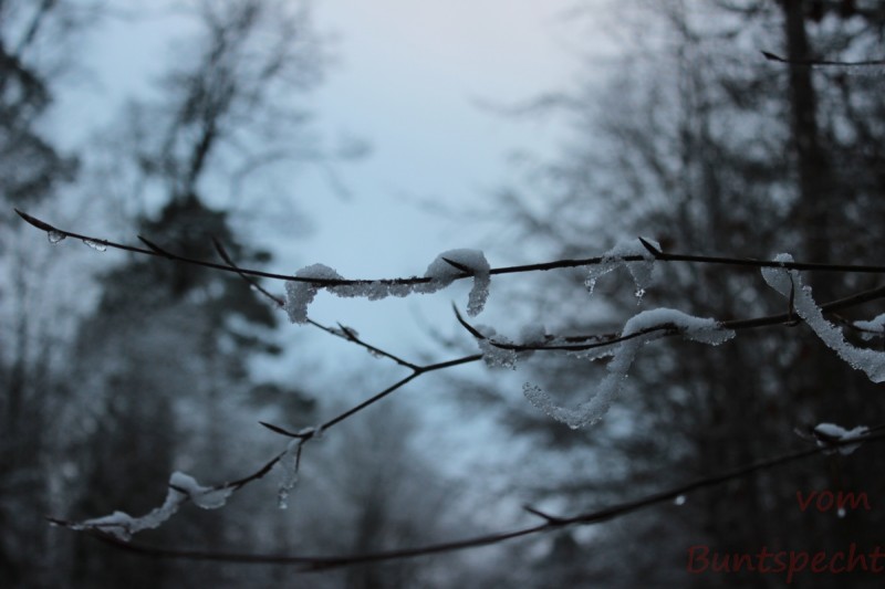 Bildla Nummära 008.jpg