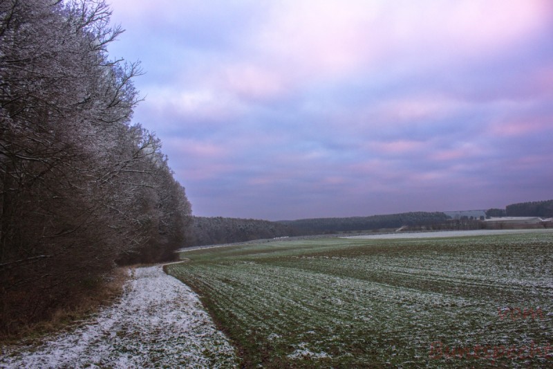 Bildla Nummära 009.jpg