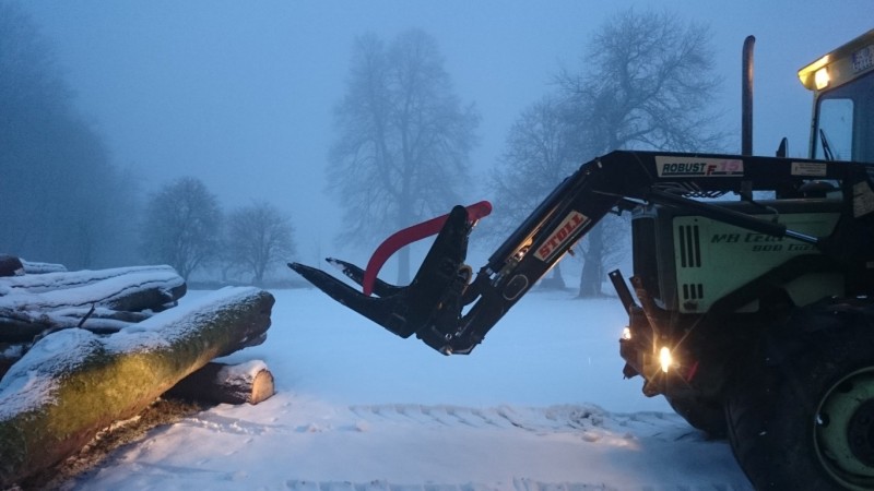 DSC_0246 (Medium).JPG