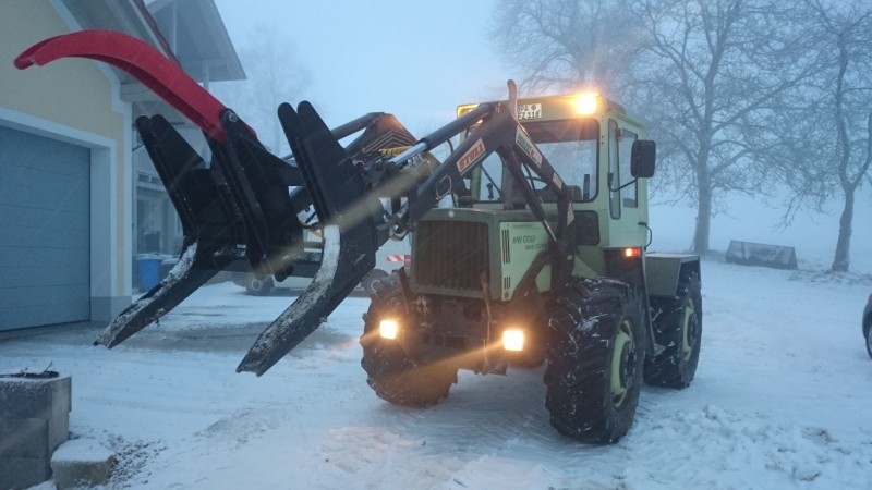 DSC_0242 (Medium).JPG