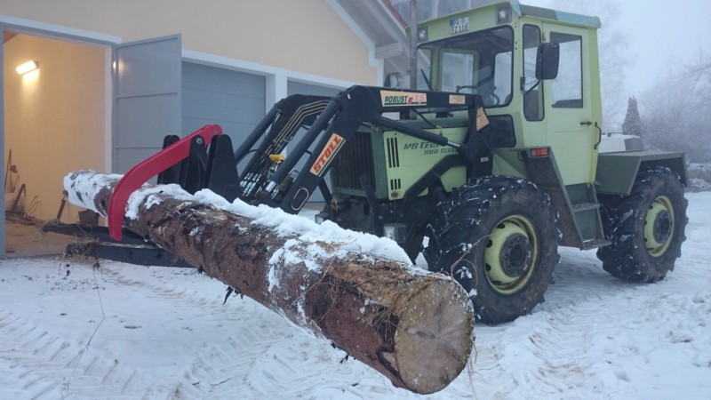 DSC_0238 (Medium).JPG