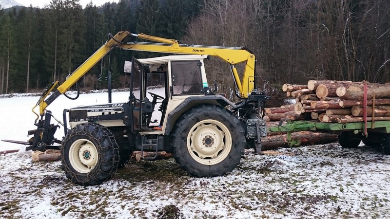 holz1.jpg