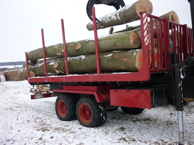 P1000100 (Medium).JPG