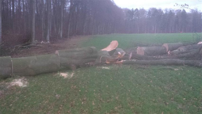 20150115_165127 (Small).jpg