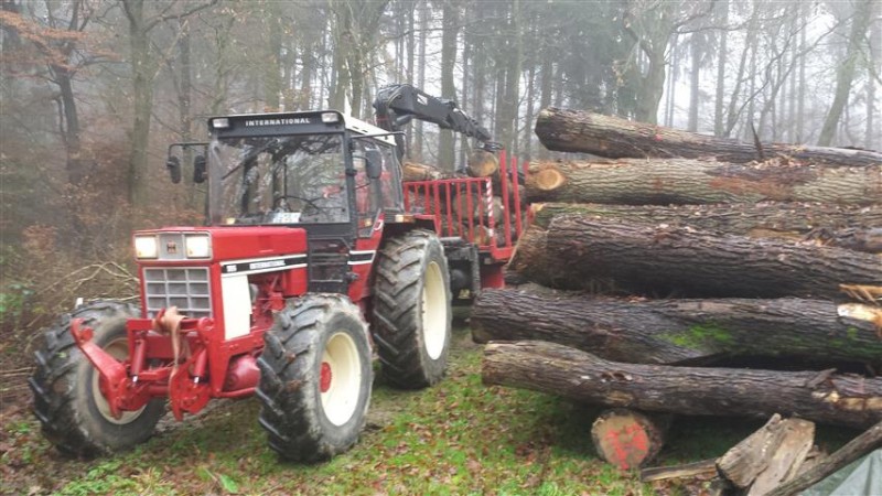 20141206_105005 (Small).jpg