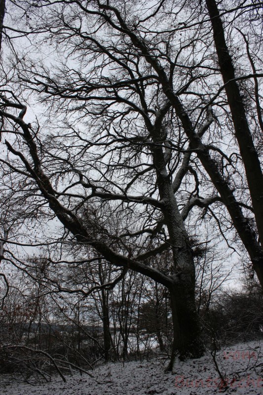 Bilderla Nummära 001.jpg