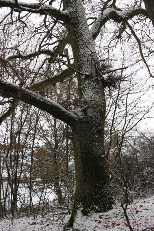 Bilderla Nummära 002.jpg