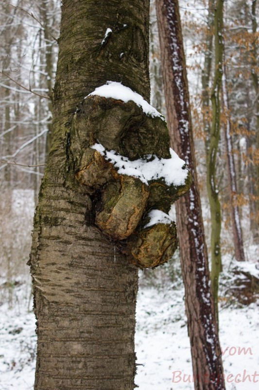 Bilderla Nummära 003.jpg