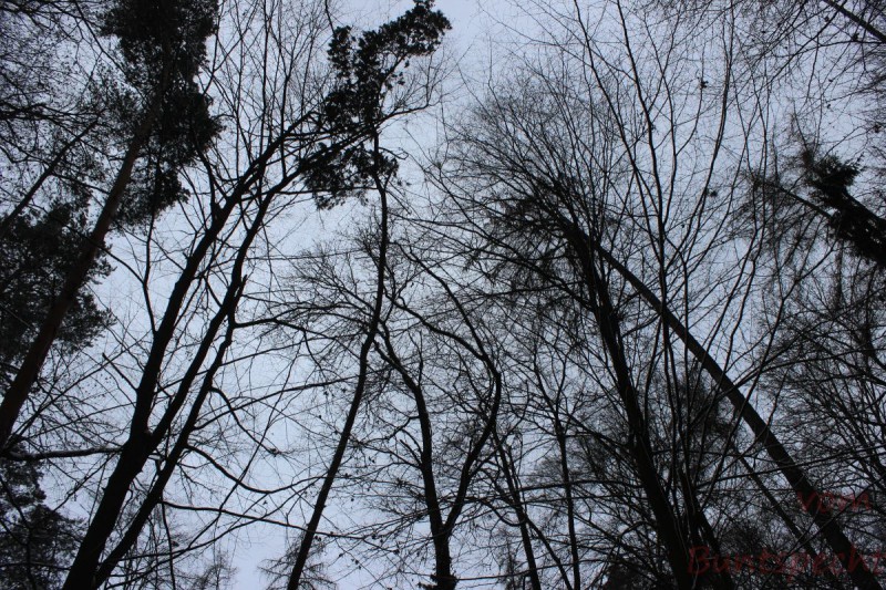 Bilderla Nummära 005.jpg