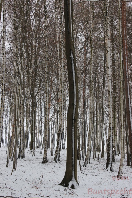 Bilderla Nummära 006.jpg