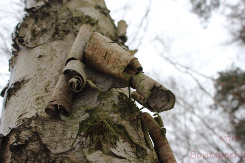 Bilderla Nummära 007.jpg