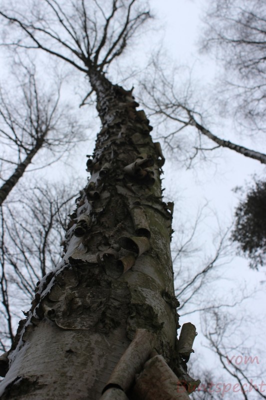 Bilderla Nummära 008.jpg