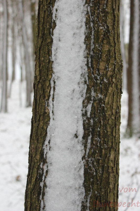 Bilderla Nummära 009.jpg