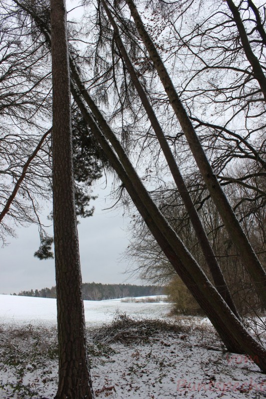 Bilderla Nummära 010.jpg