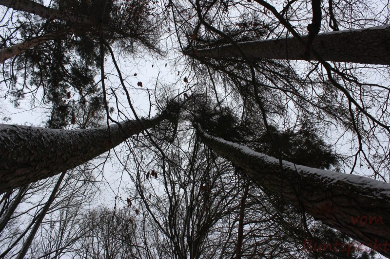 Bilderla Nummära 011.jpg