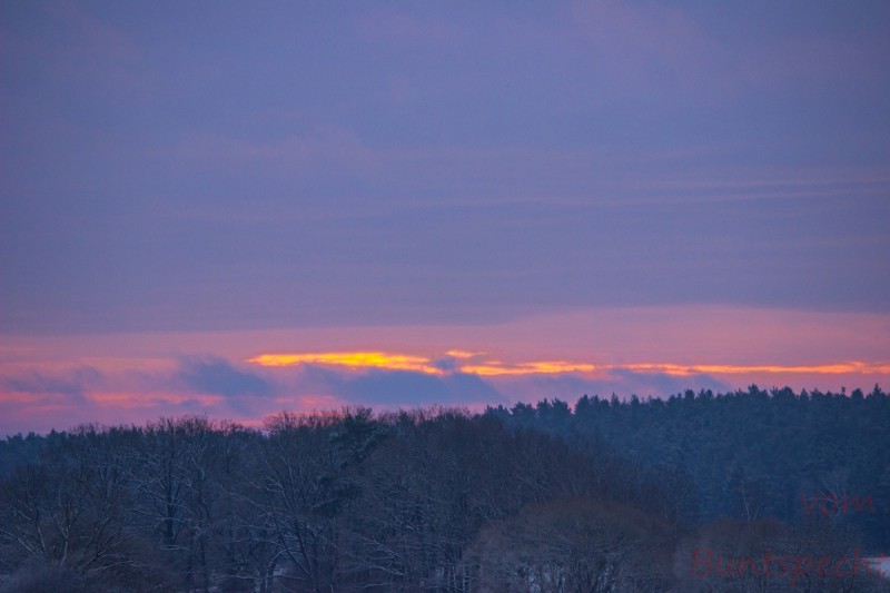 Bildla Nummära 001.jpg