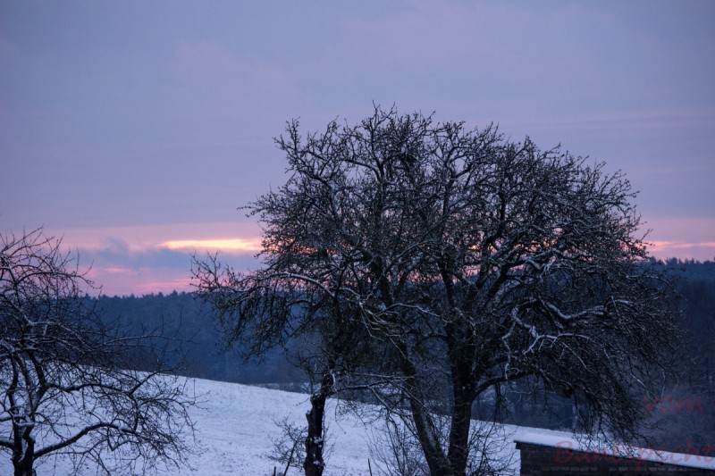 Bildla Nummära 002.jpg