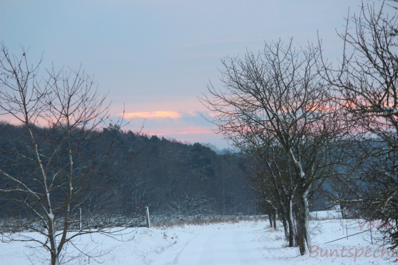 Bildla Nummära 003.jpg