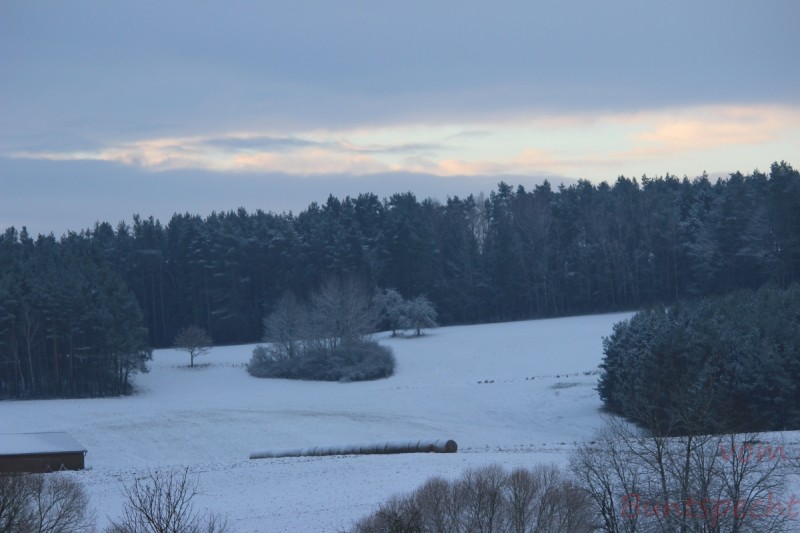 Bildla Nummära 004.jpg