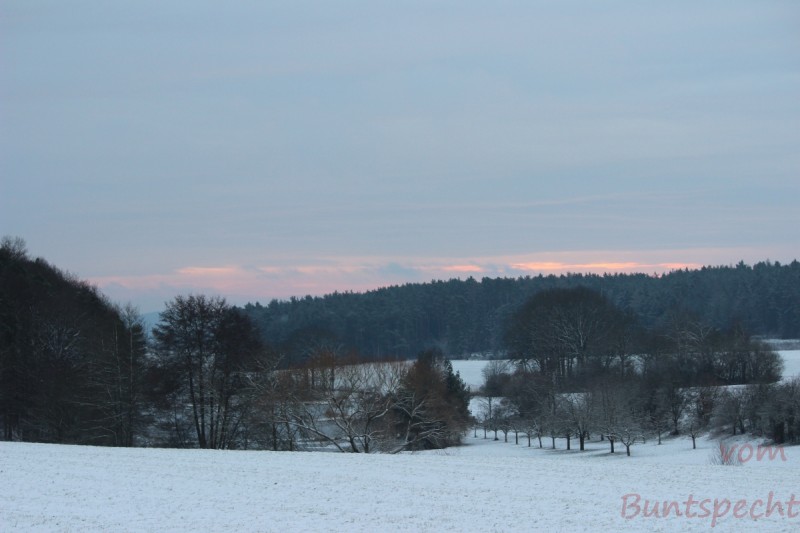 Bildla Nummära 005.jpg