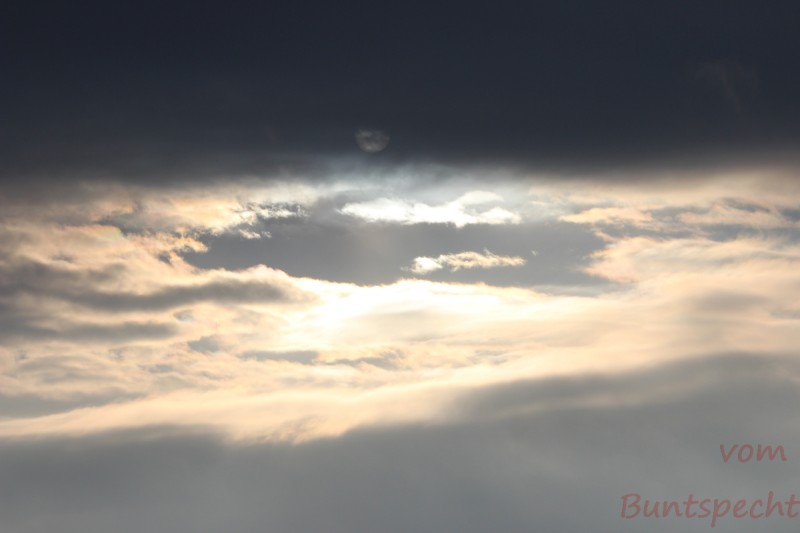 Bildla Nummära 006.jpg