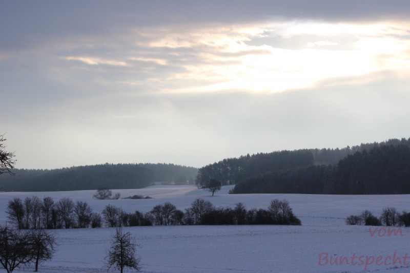 Bildla Nummära 007.jpg