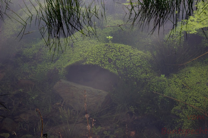 Bilderla Nummära 001.jpg