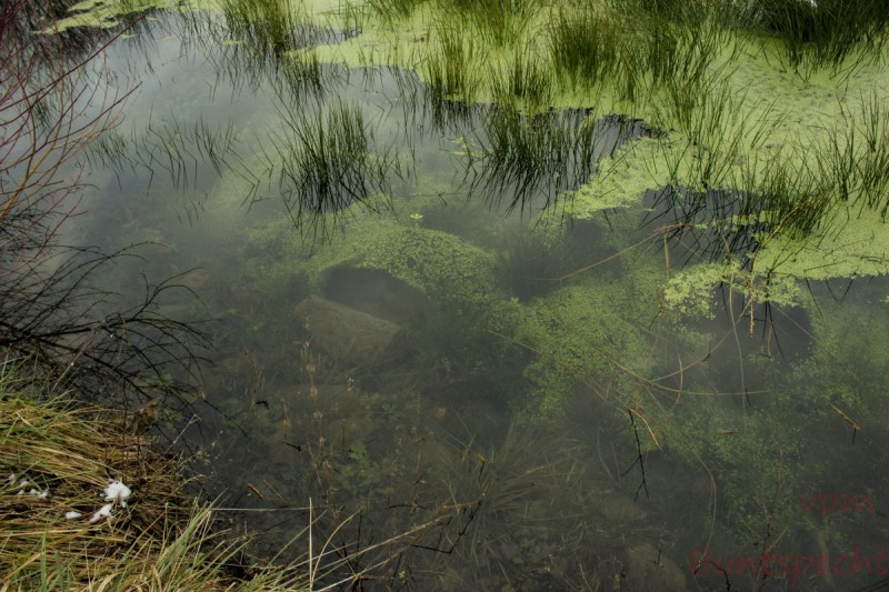 Bilderla Nummära 002.jpg