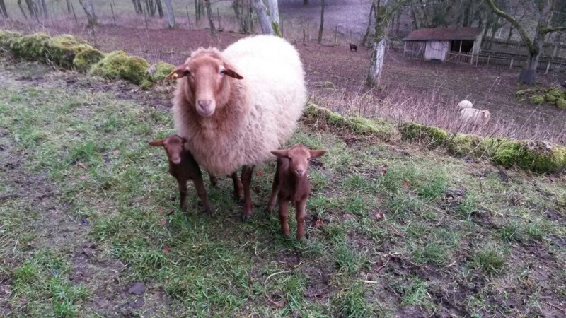 IMG-20150112-WA0019 - Kopie.jpg