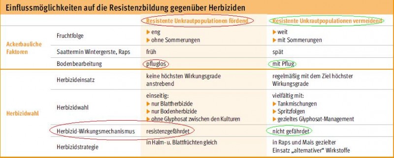 Pfluglos fördert resistente Unkräuter.JPG
