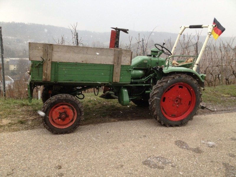 19er Schemelsberg Holz.jpg