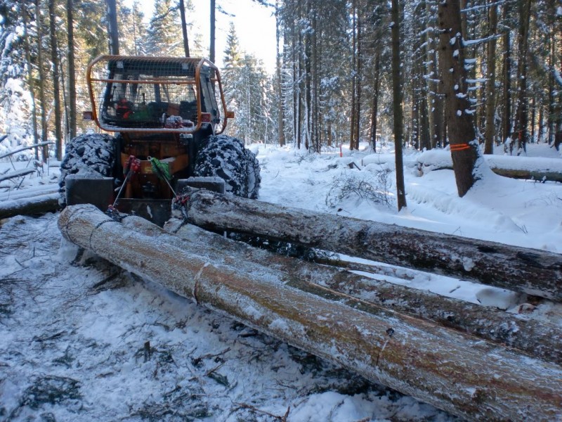 CIMG1762 (2) (1024x768).jpg