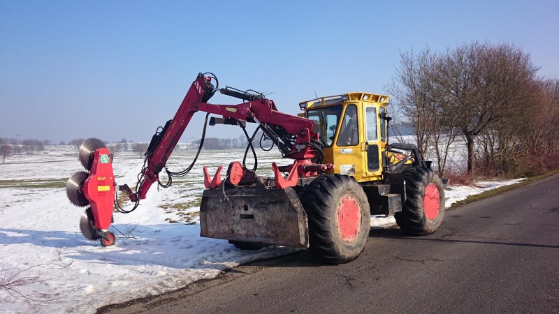 Welte mit Säge 2.JPG