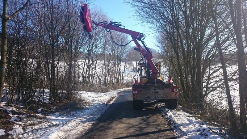 Welte mit Säge 3.JPG